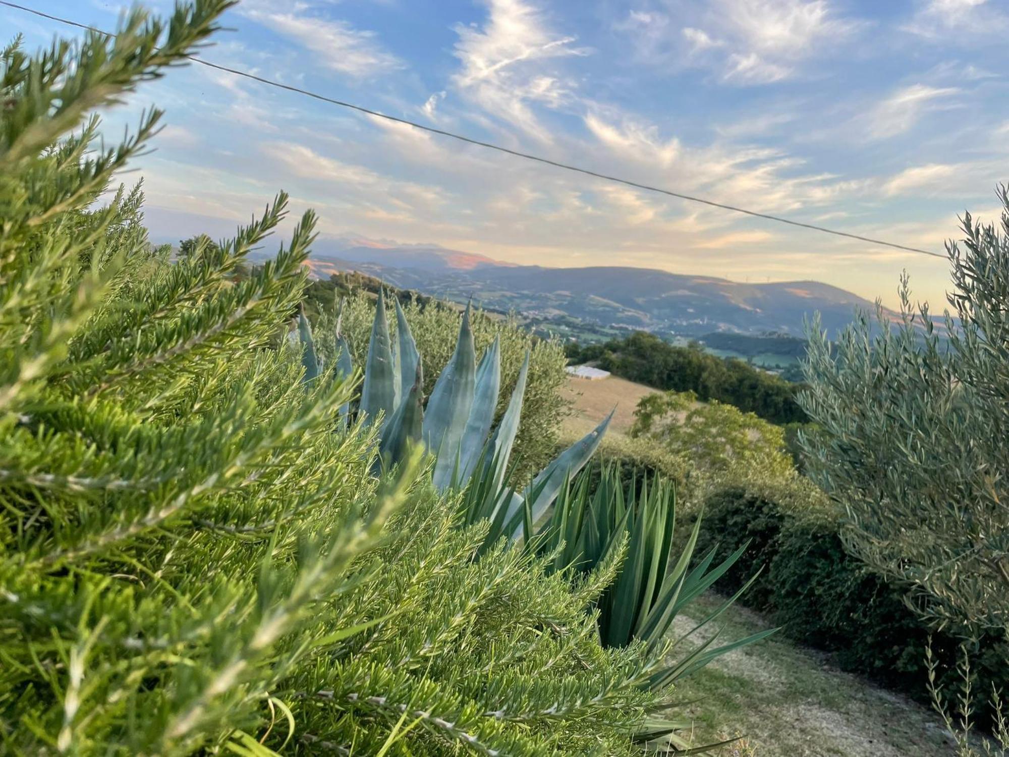 Agriturismo Villa Rosetta San Severino Marche Eksteriør bilde