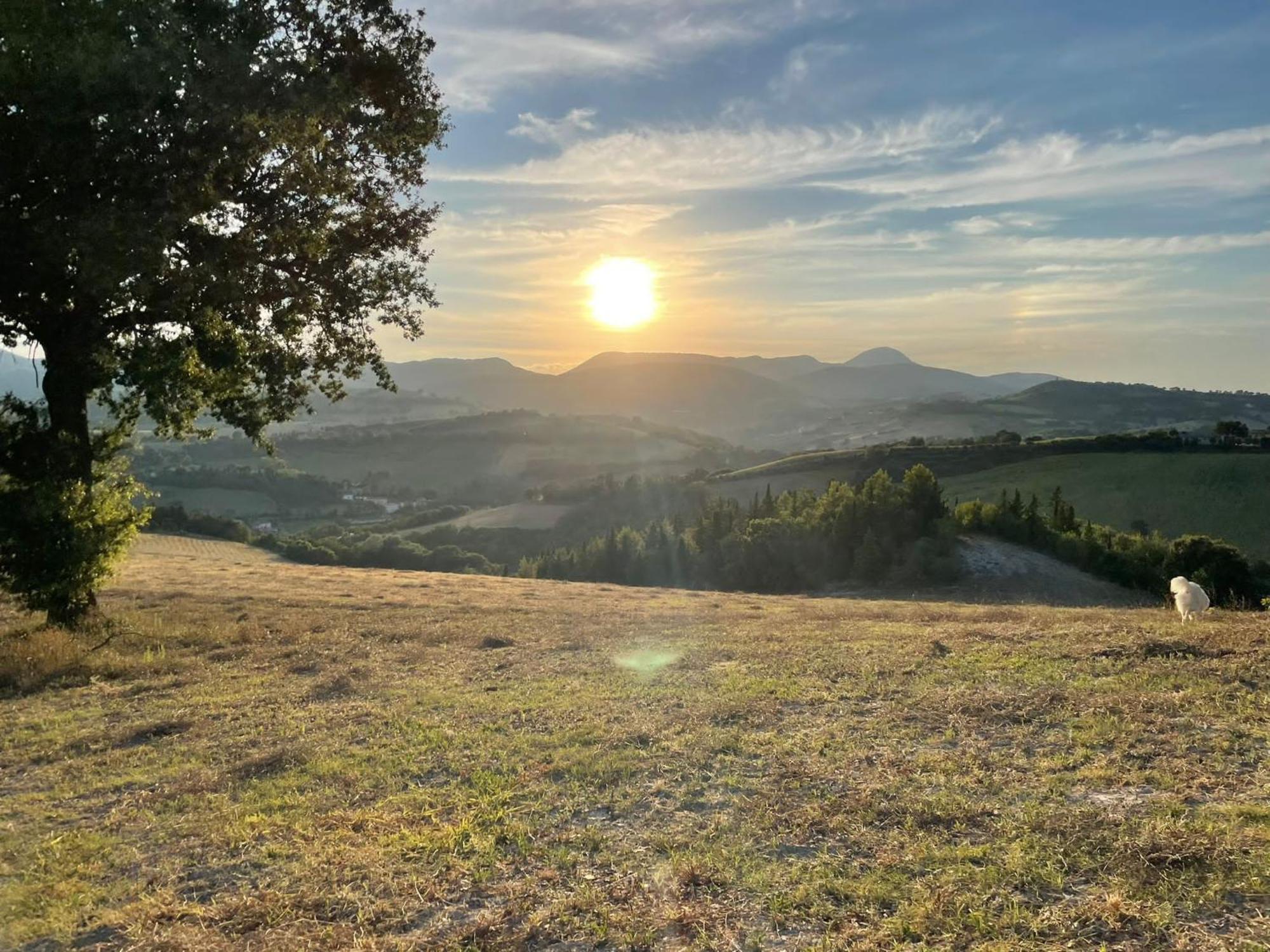 Agriturismo Villa Rosetta San Severino Marche Eksteriør bilde