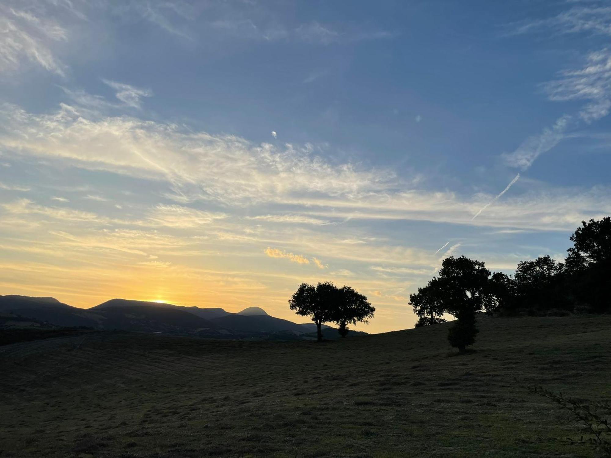 Agriturismo Villa Rosetta San Severino Marche Eksteriør bilde