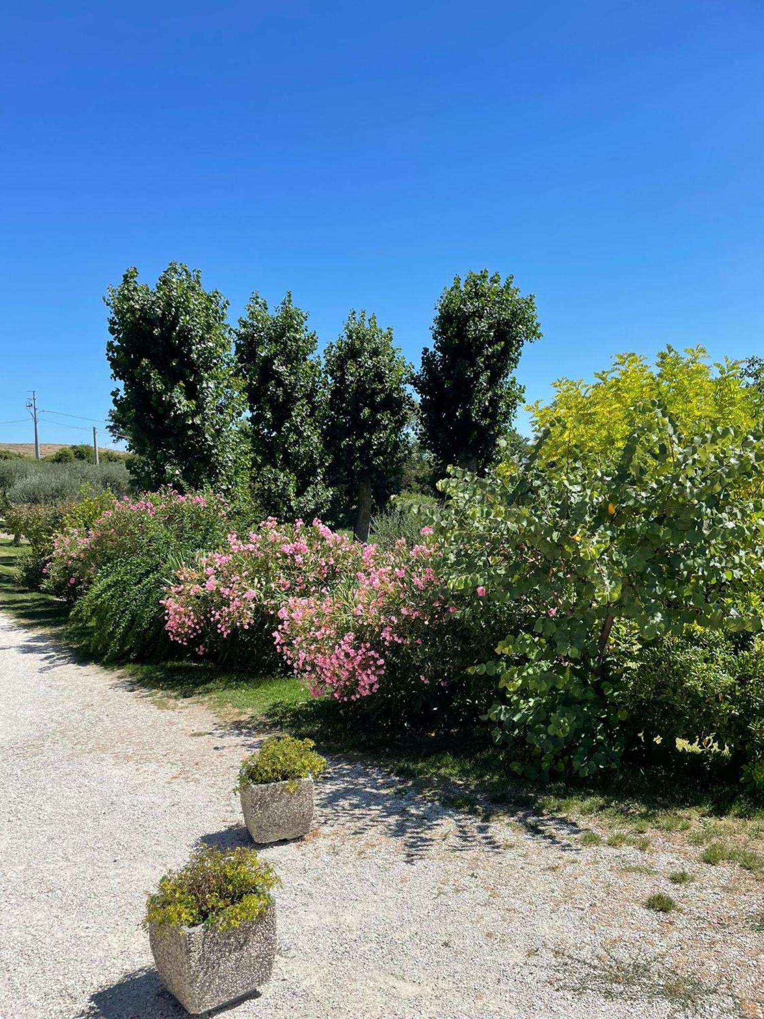 Agriturismo Villa Rosetta San Severino Marche Eksteriør bilde