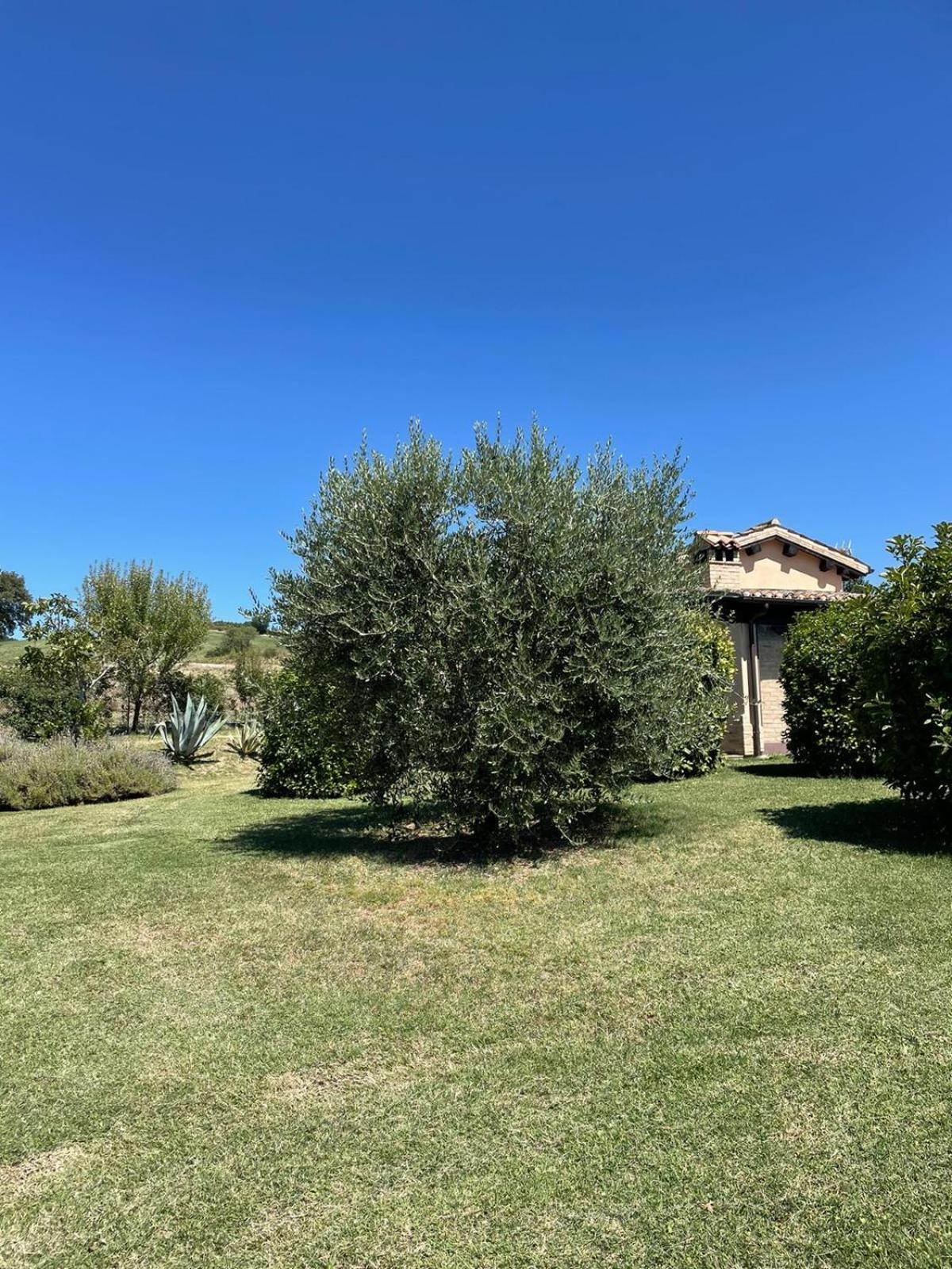 Agriturismo Villa Rosetta San Severino Marche Eksteriør bilde