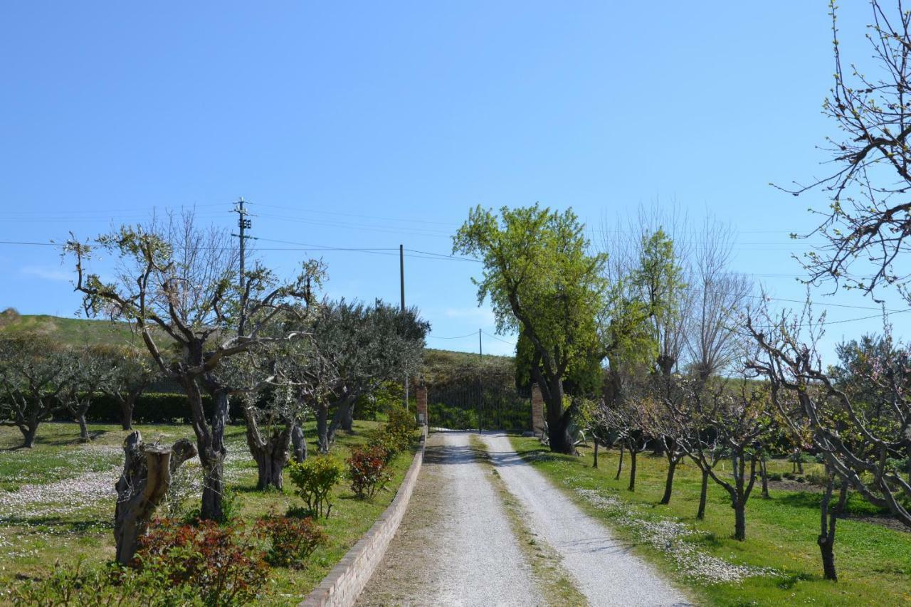 Agriturismo Villa Rosetta San Severino Marche Eksteriør bilde