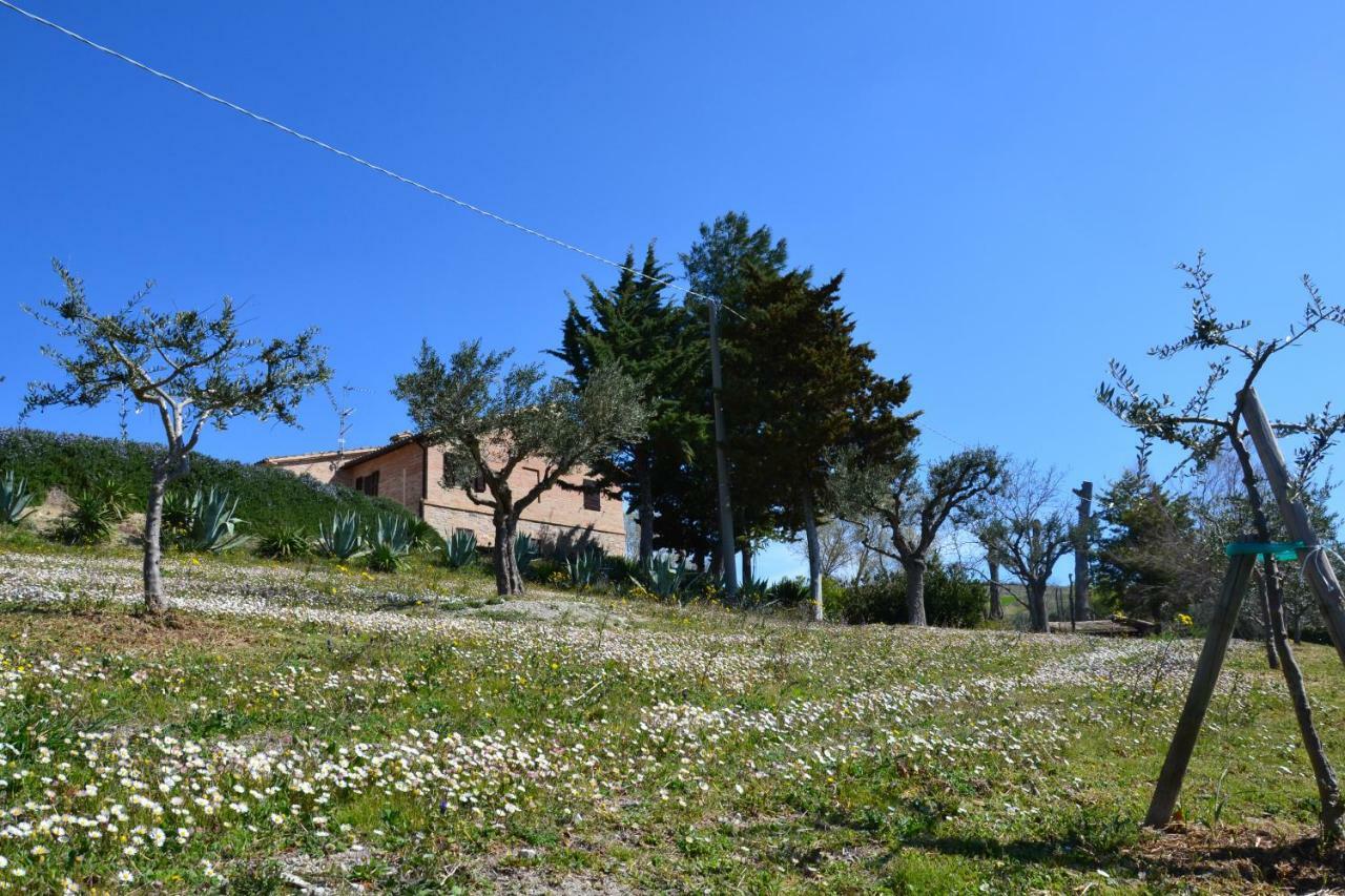 Agriturismo Villa Rosetta San Severino Marche Eksteriør bilde