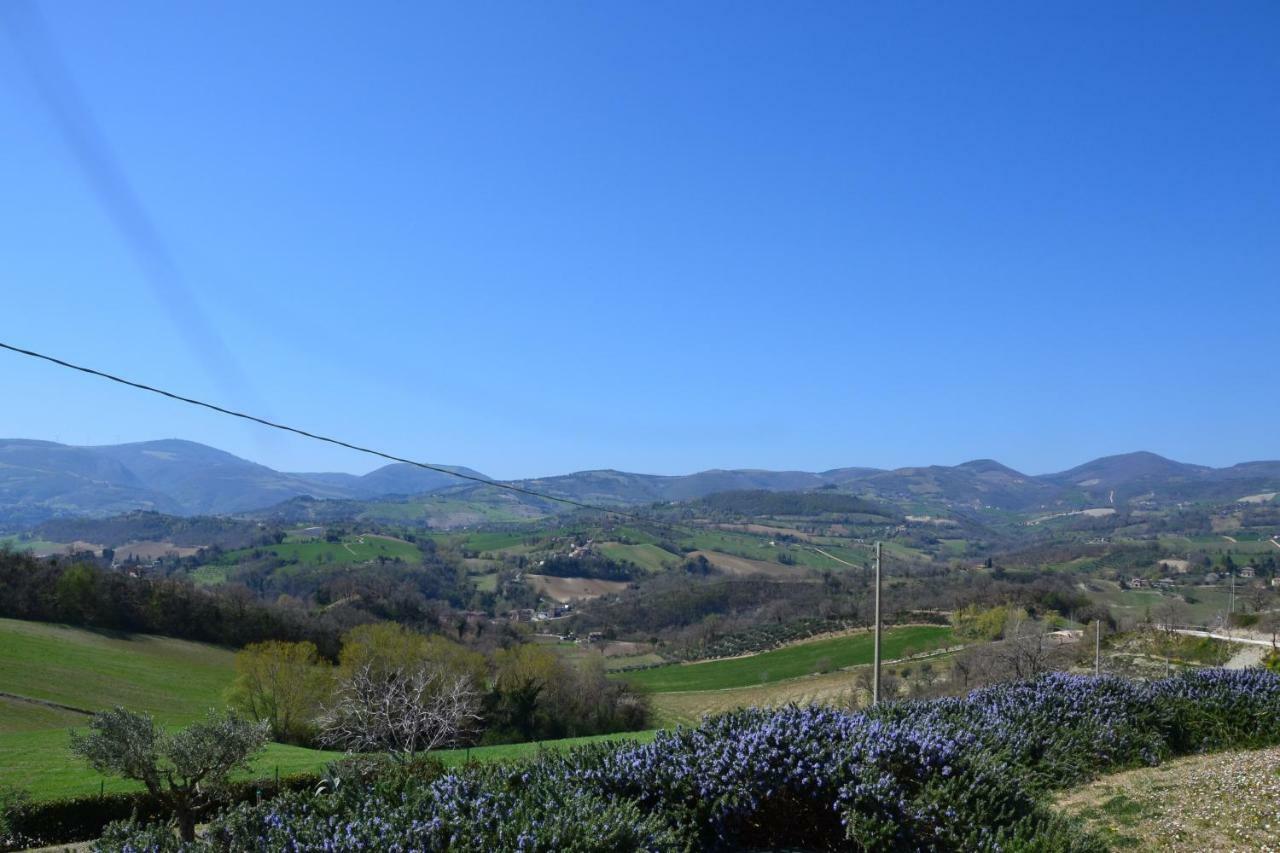 Agriturismo Villa Rosetta San Severino Marche Eksteriør bilde