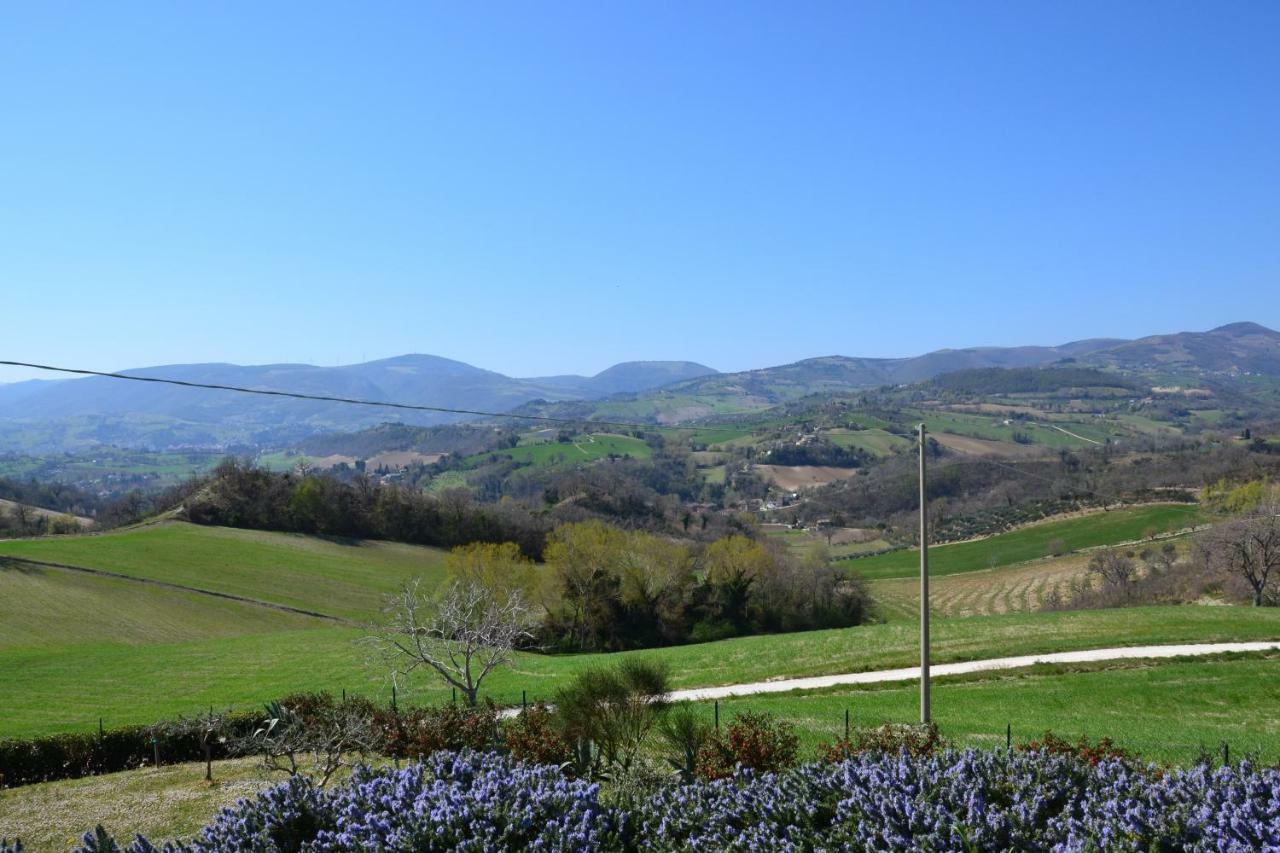 Agriturismo Villa Rosetta San Severino Marche Eksteriør bilde